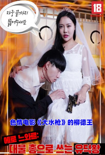 色情电影的柳德王(全集)