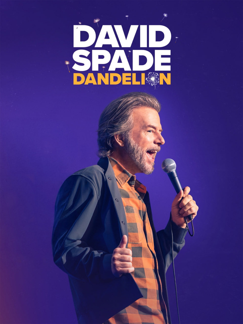 大卫·斯佩德：(全集)