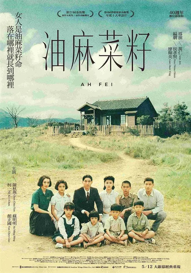 油麻菜籽(全集)