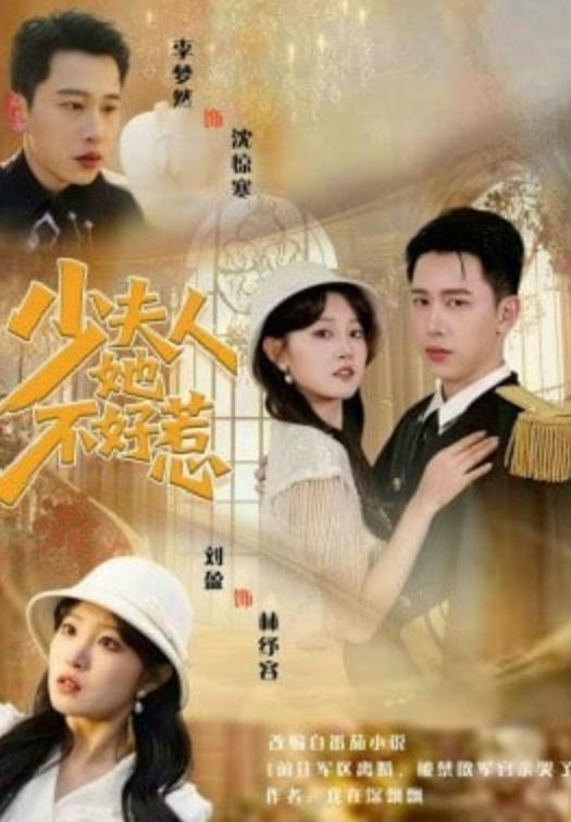 少夫人她不好惹(全集)