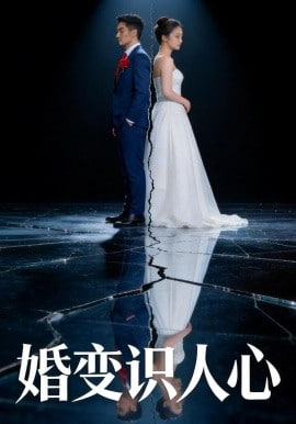 婚变识人心(全集)
